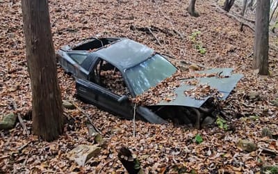 Crashed Toyota abandoned in the woods since 1992 has become a tourist attraction