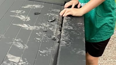 Minnesota man camping in Tesla Cybertruck wakes up to find raccoons trying to break in after mistaking truck for a dumpster