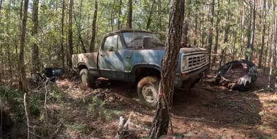 Dodge truck trapped between trees, sunk tires and dents, rescued by enthusiasts thriving on a challenge