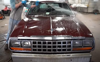 the-most-american-car-ever-made-amc-eagle-left-in-the-woods-for-decades-and-then-sold-for-just-333