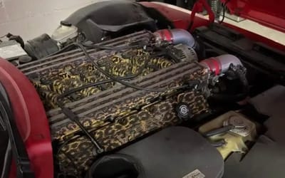 'World's worst Dodge Viper' doesn't look great on the outside, but its leopard print engine is even worse