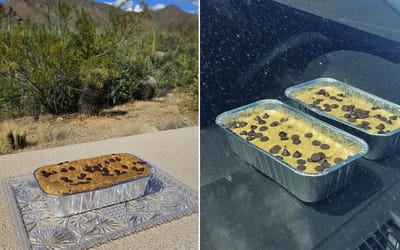 Driver demonstrates just how hot it is in Saguaro National Park by cooking banana bread on their dashboard