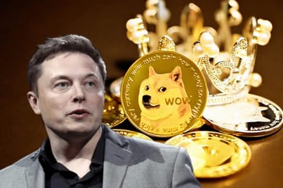 Dogecoin’s rollercoaster prices after Elon Musk’s shock Twitter buy