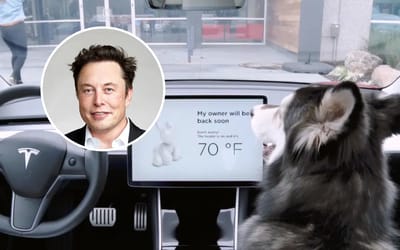 Elon Musk comes to the rescue of man whose pooch keeps opening his Tesla’s window