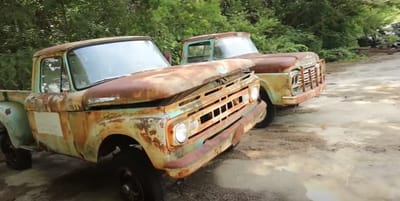 Down in Tennessee this guy found the largest collection of abandoned Ford trucks