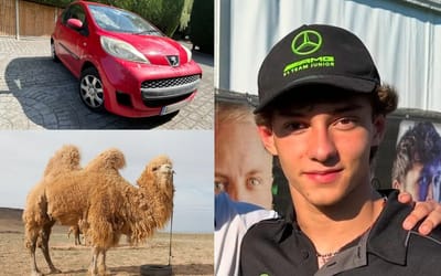 These are the weirdest car laws from around the world, from the UAE to Germany