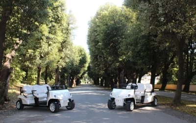 Pope Leo XIV has been given two electric Popemobiles that can be transported by air as he travels