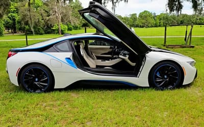 After buying BMW i8 supercar for $25k this man was very excited but soon uncovered the real reason it was so cheap