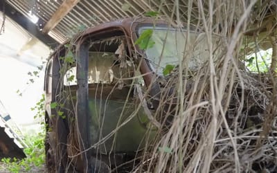 YouTuber discovers a mystery car from decades ago that's hidden in his neighbor's hedge