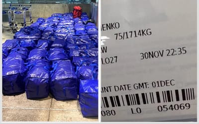 Passenger checks 75 bags while flying out from New York's JFK airport