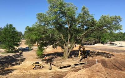 Texas crews are using futuristic tech to relocate a living 400-year-old landmark