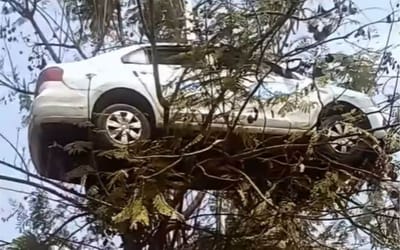 A car was found mysteriously lodged in a tree and no one really knows how it got there