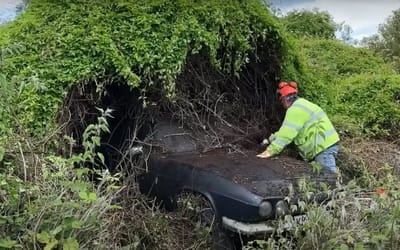 Couple cut back overgrown hedge to find rare sports car