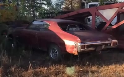 Rare muscle cars found in trailers on rural Kentucky land