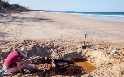 Couple find classic car under sand whilst walking on beach