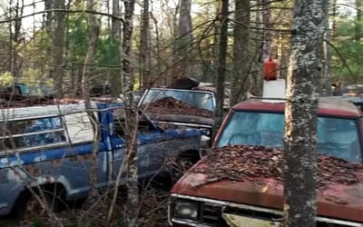 Unique car graveyard in woods of US has unusual backstory