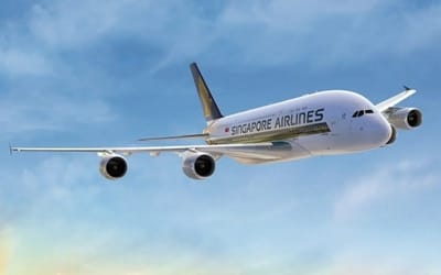 Man got to experience the true pinnacle of luxury when he spent $13,980 flying first class on Singapore Airlines