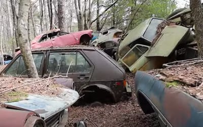 Man visits 40-acre Georgia junkyard with 5,000 cars, it's city-sized and possibly the world's largest