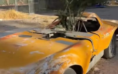 Viral ‘Cheetah’ car find fools the internet but the truth is far less exotic