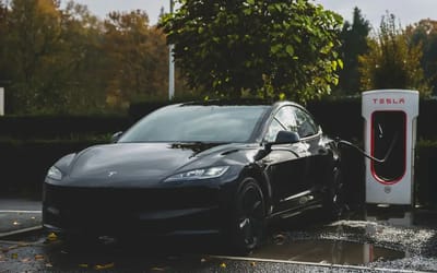 Tesla Model 3 Long Range driver calls it an 'absolute dream' after driving 13,561 miles in one year including California-Seattle