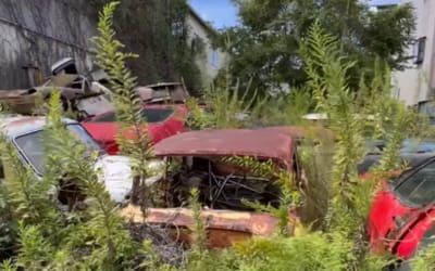 Urban explorer hits the jackpot uncovering a forgotten Bugatti and Maserati left to decay