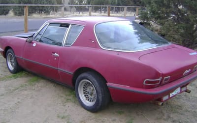 This rare 1987 Avanti classic resurfaces in Oregon after years asleep and is begging to be revived