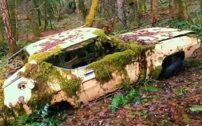 Biker finds abandoned sports car in middle of forest