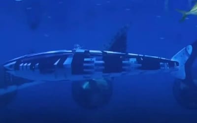 China creates a robotic whale shark for underwater missions