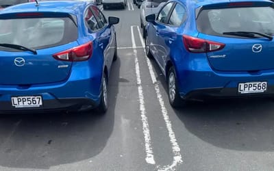 NZ man becomes unbelievably excited after finding the exact same car with one number different on license plate parks next to his