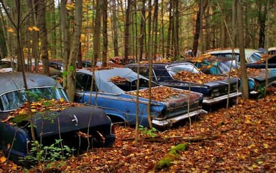 New Yorker discovers graveyard filled with 300 classic cars