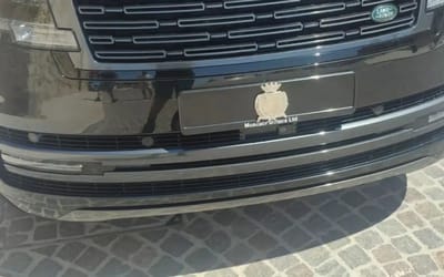 vacationer-baffled-license-plate-without-numbers-letters-europe