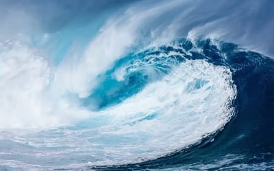 What actually happens to cruise ships in a tsunami? It’s not what you think