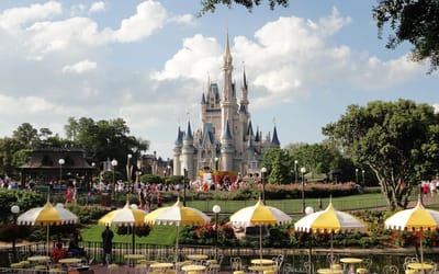 Why Disney World is the only theme park with its own no-fly zone