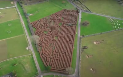 Man got Uber Eats to deliver to middle of UK’s longest maze