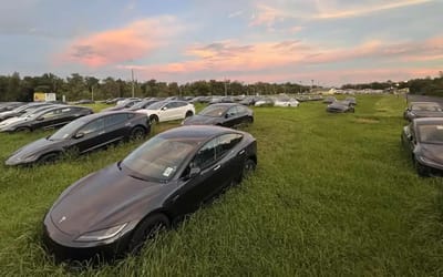 Tesla is using a field in Florida to store unsold cars