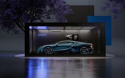 New luxury climate-controlled boxes are the perfect place for a billionaire to store their Bugatti