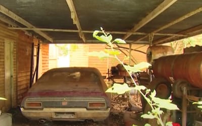 Reason dusty muscle car found on Australia farm still has nice looking interior after 30 years untouched