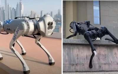 It’s all over for us because robodogs have just been given AI brains