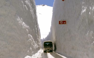 Street in Japan swallowed by 65 feet of snow as crews carve way through to reopen road