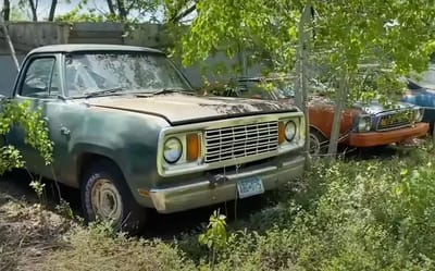 Man’s seven-year chase pays off as he saves seven classic cars from eye-popping 550-acre Minnesota barn find