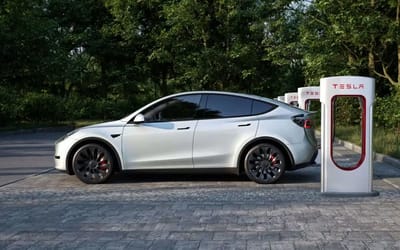 New Tesla owner was astounded when making an unexpected battery discovery after 10-day test