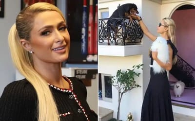 Paris Hilton bought her dogs six-figure mansion that features air conditioning and designer furniture