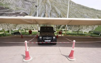 duba-crown-prince-finds-pigeon-on-his-mercedes-amg-g-63-suv