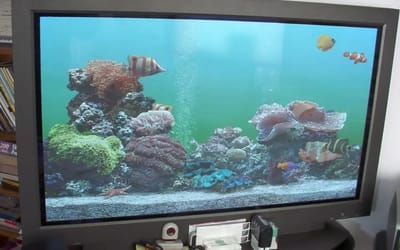 why-tv-makers-no-longer-use-plasma-panels