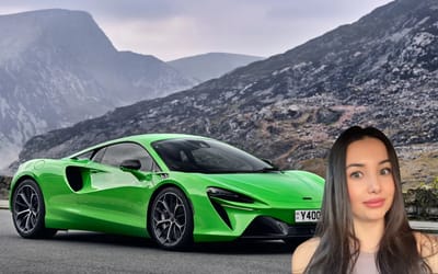 Luxury car dealer sees customer wire $250,000 'like it's Venmo' so she asks what his job is and is caught off guard