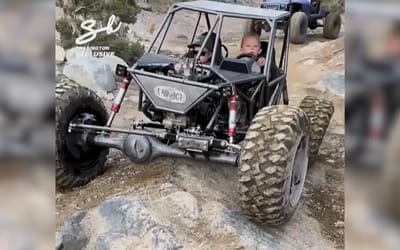 Fearless 4-year-old drives a Rattlesnake