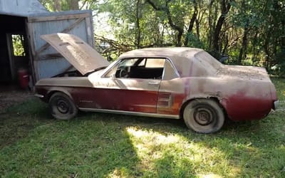 Rusty Mustang sat in shed for over 30 years does something unbelievable after being brought back to life