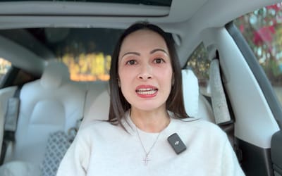 Tesla Model 3 owner left Sentry Mode cameras on for 24 hours as a test and when she returned was met with unexpected results