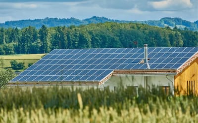 california-homeowner-energy-bill-solar-panels-comparison