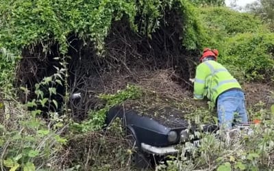 uk-couple-rare-sports-car-hedge